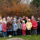 Święto Drzewa